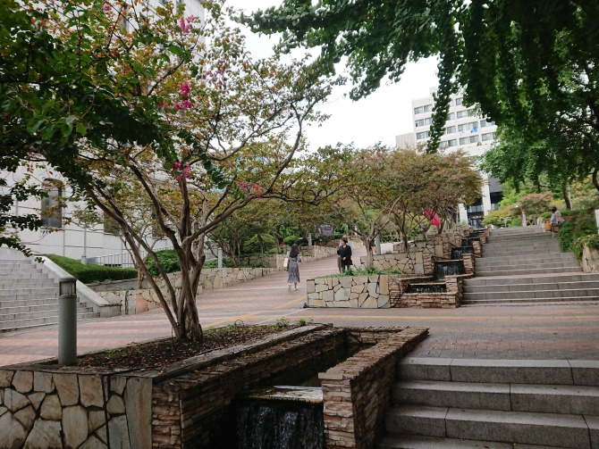韓国の淑明女子大学校の写真