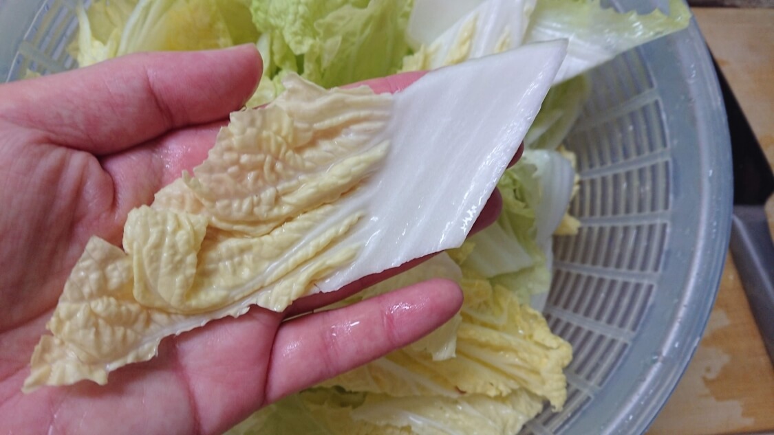 白菜の浅漬けキムチ（コッチョリ）の韓国レシピ