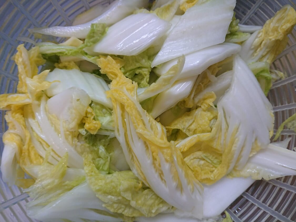 白菜の浅漬けキムチ（コッチョリ）の韓国レシピ。塩漬け