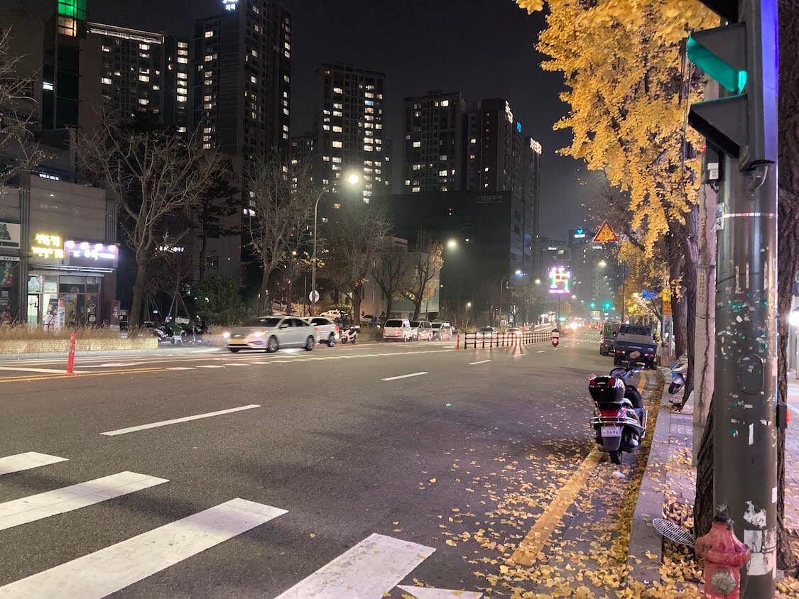 韓国ソウルで秋の散歩、紅葉と銀杏の葉