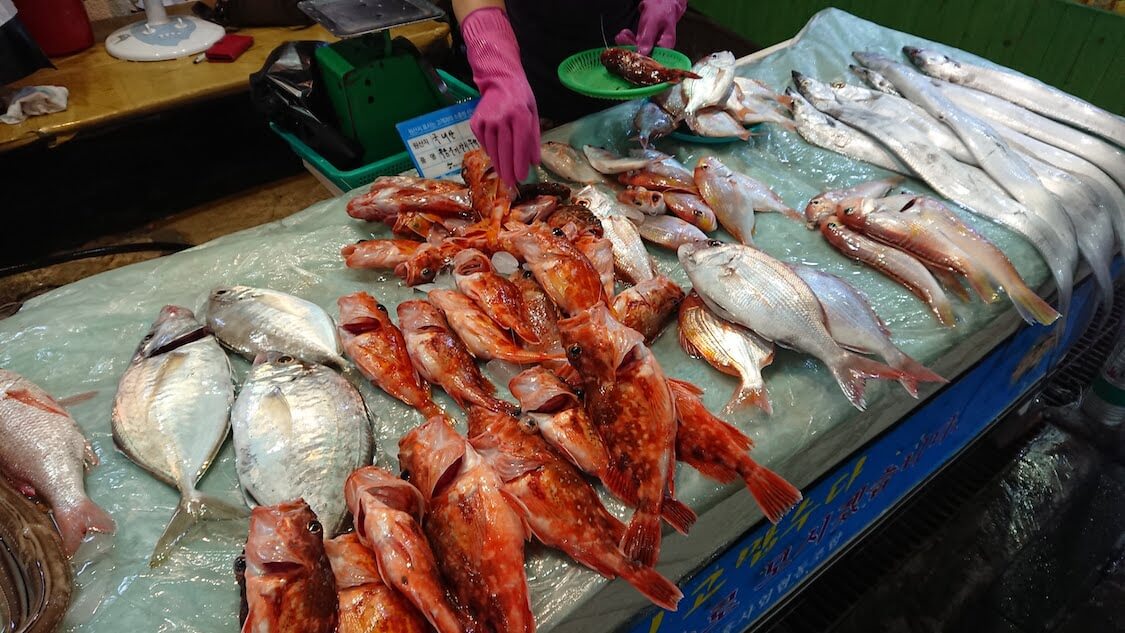 【チェジュ島旅⑤】賑やか！西帰浦毎日オルレ市場。買い物とグルメ、風景、魚の売り場
