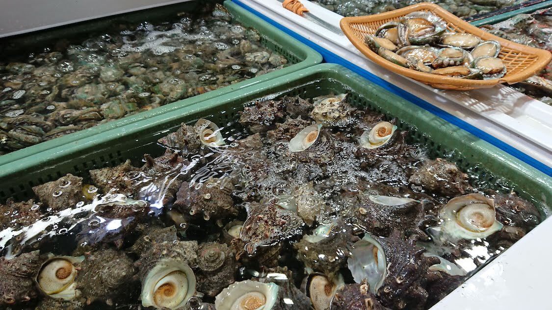 【チェジュ島旅⑤】賑やか！西帰浦毎日オルレ市場。買い物とグルメ。人気の海鮮、貝