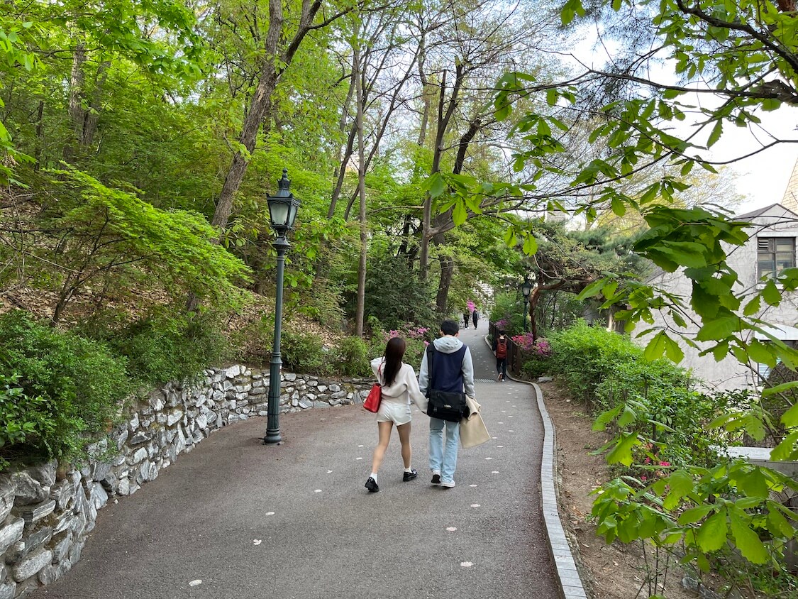 韓国の名門大学SKY。高麗大キャンパスを散歩！リスの道