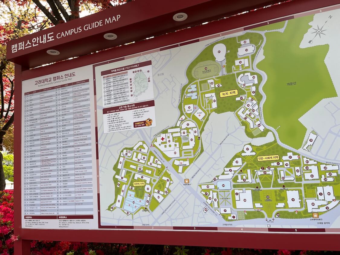 韓国の名門大学SKY。高麗大キャンパスを散歩！全体の地図
