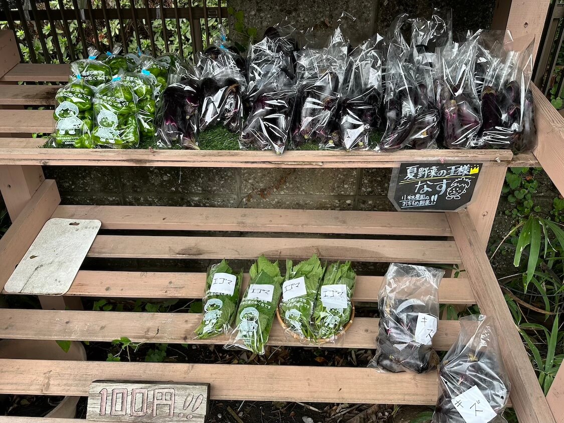 えごまの葉の購入と栽培。エゴマの葉ナムルの韓国レシピ
