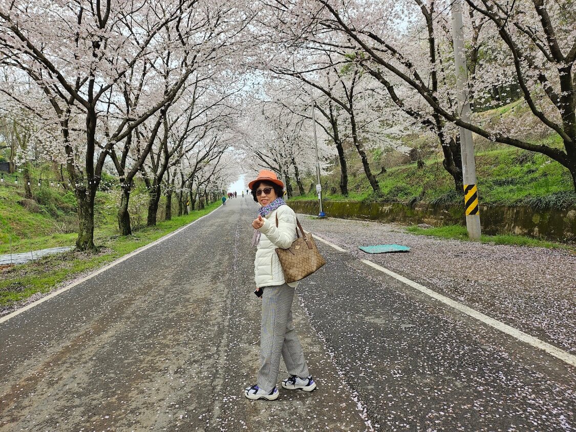 韓国の南、泗川市を観光。桜のお花見