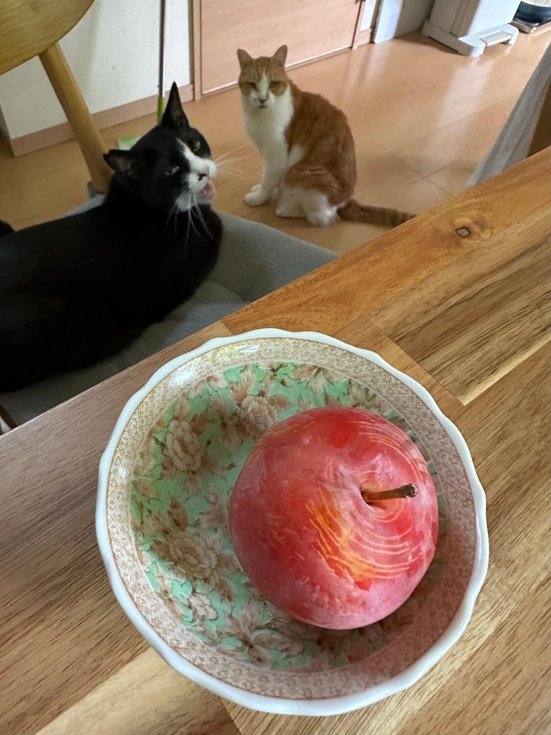 すももとくろちゃん