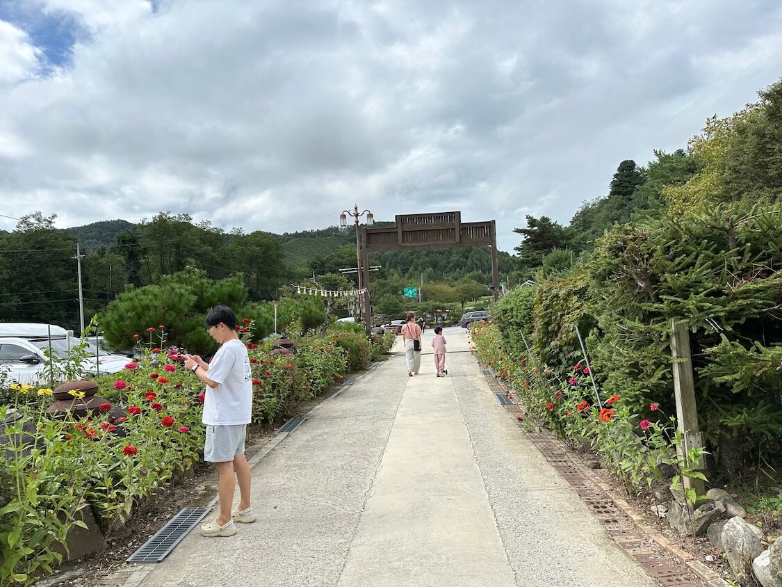 そば粉入り韓国の麺料理マッククス。食事のあとのブログ、近くで散歩できるところ