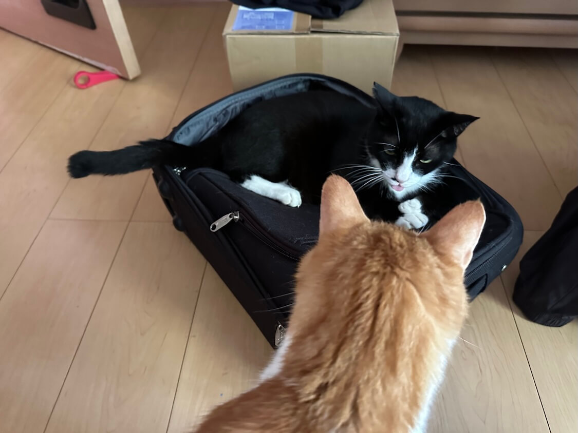 くろちゃんと玉三郎