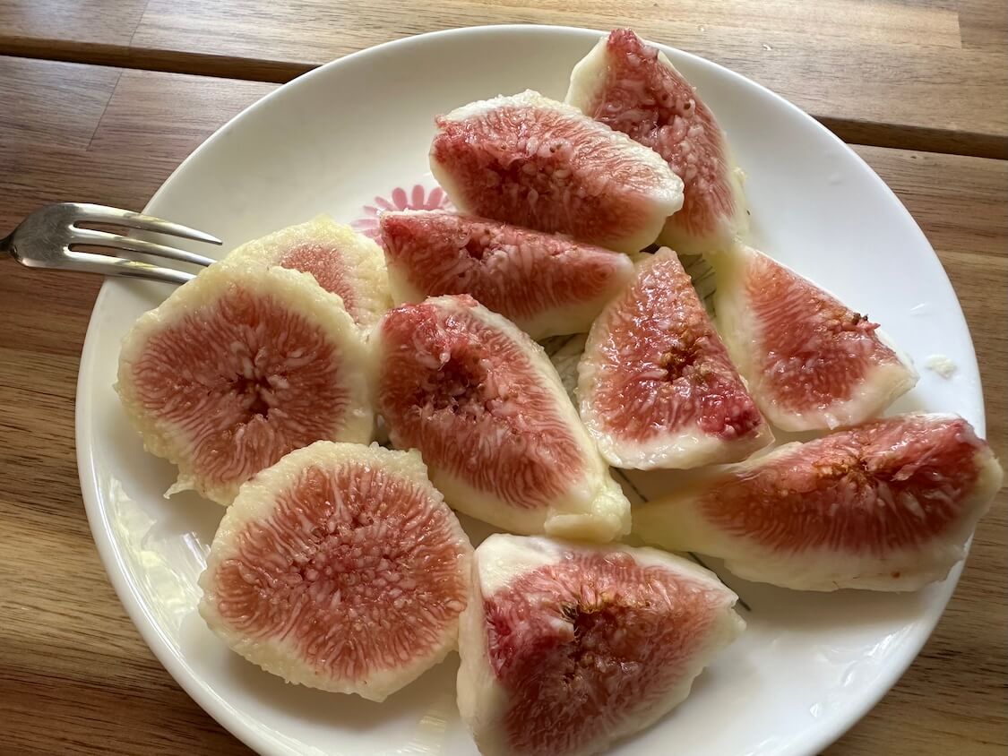 イチジク、無花果