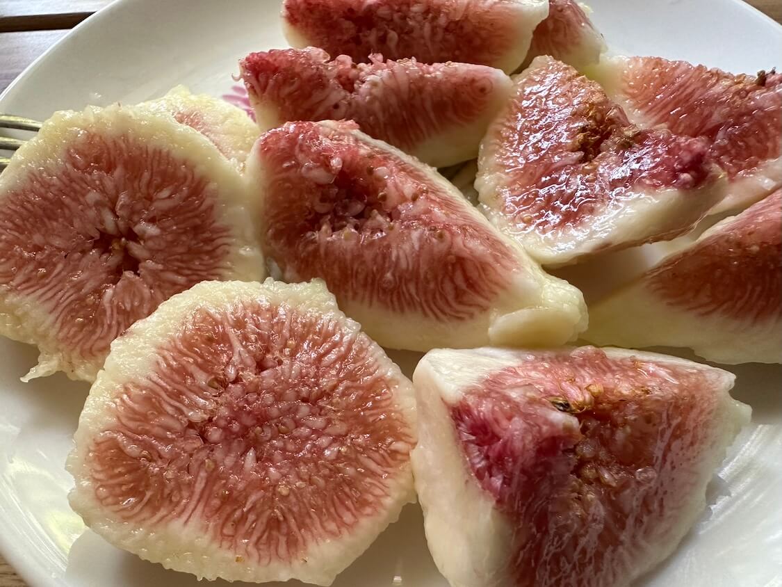 イチジク、無花果