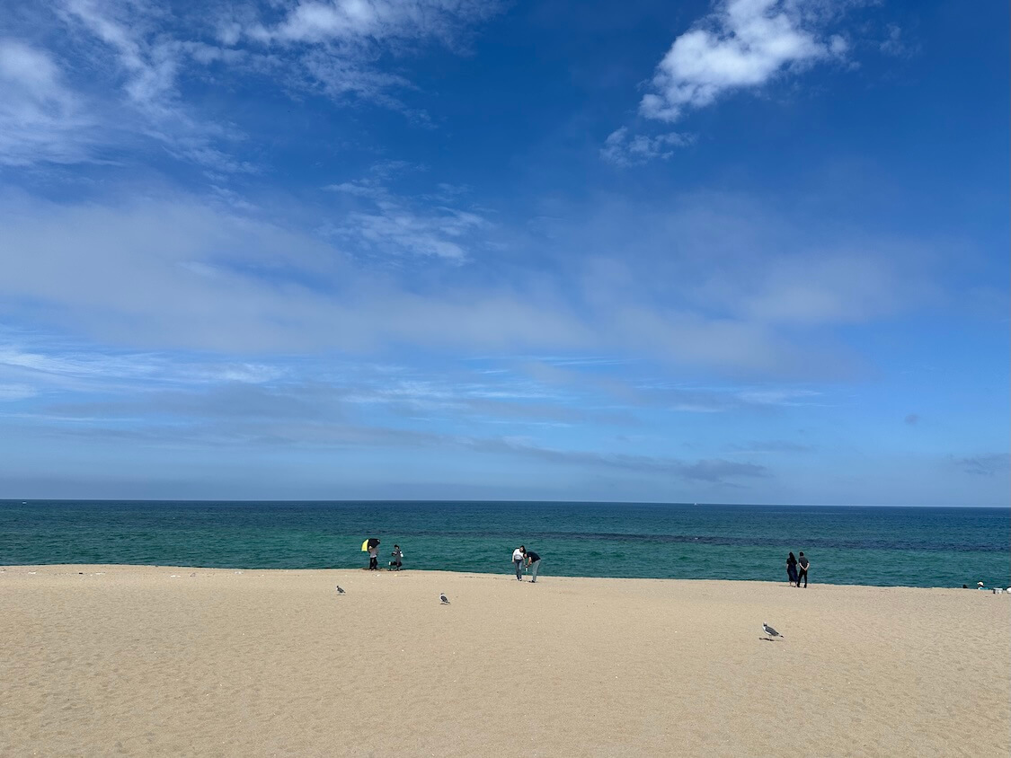 韓国の江陵観光。人気の海辺とコーヒー通りの景色