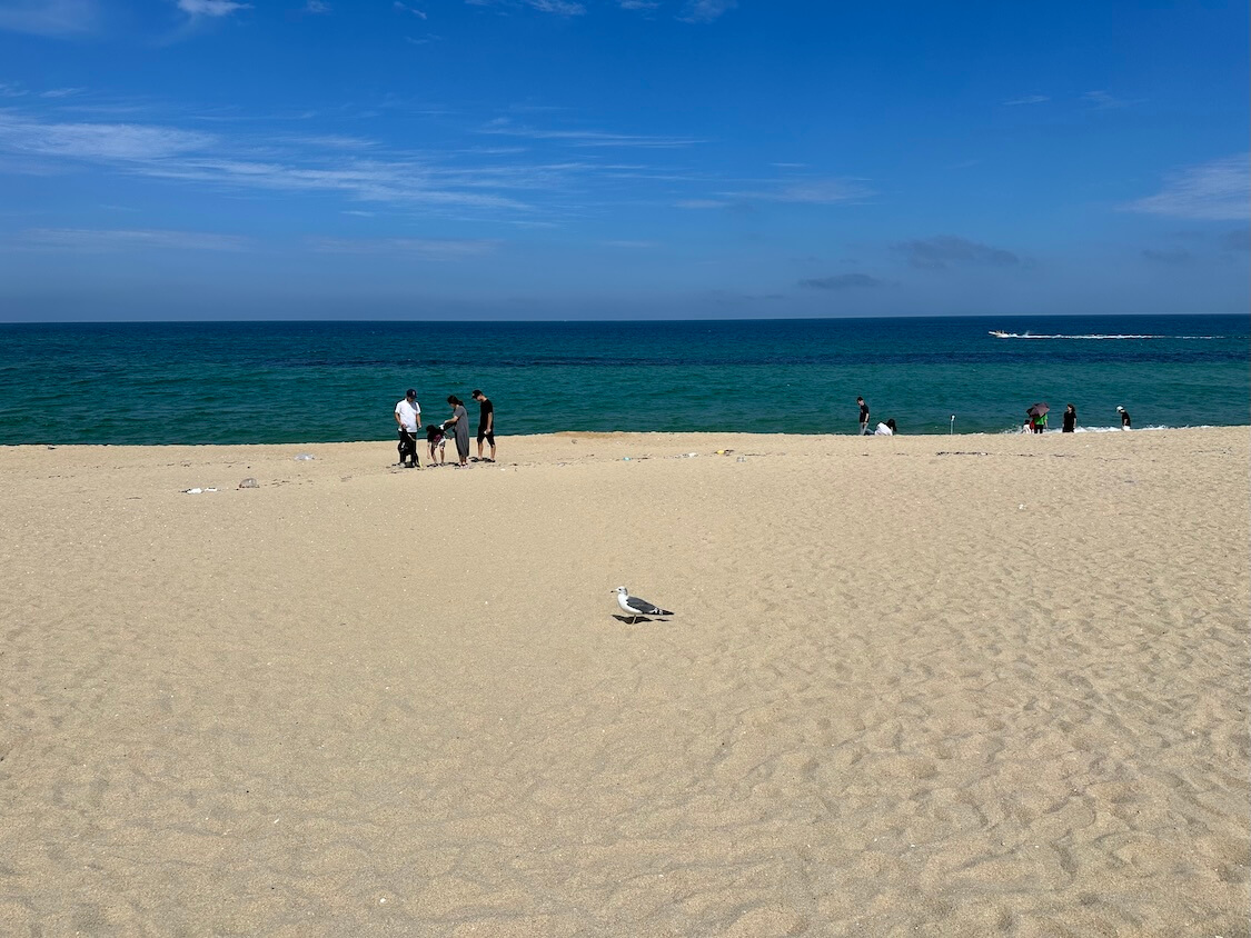 韓国の江陵観光。人気の海辺とコーヒー通りの景色