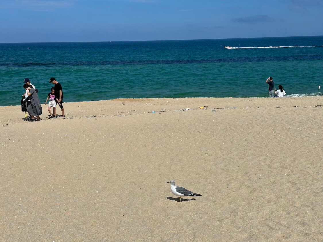 韓国の江陵観光。人気の海辺の名前。ドラマ「トケビ」の撮影地の場所