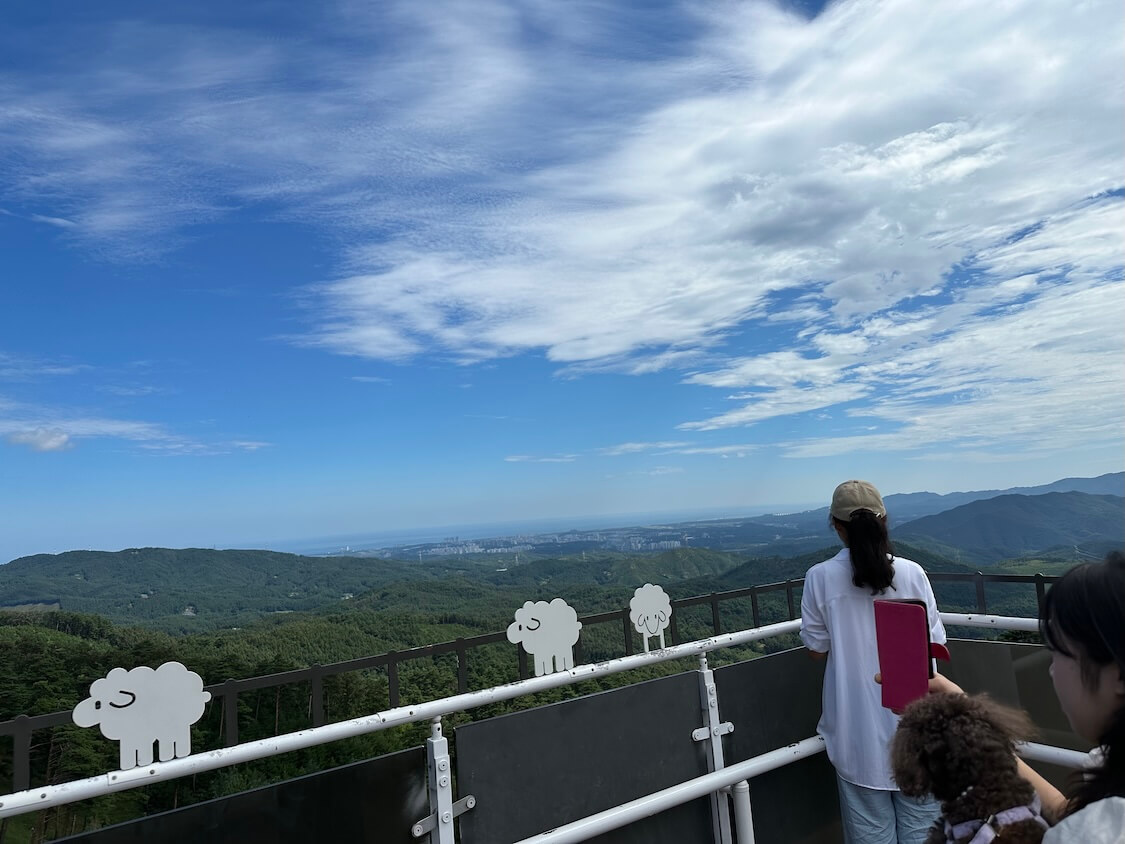 韓国の江陵観光ブログ
