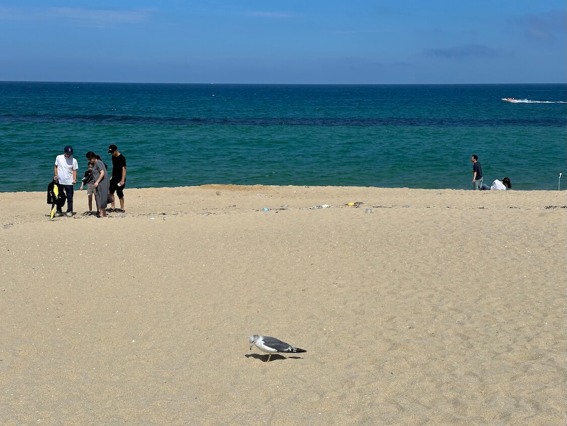 韓国江陵グルメと観光。海が綺麗
