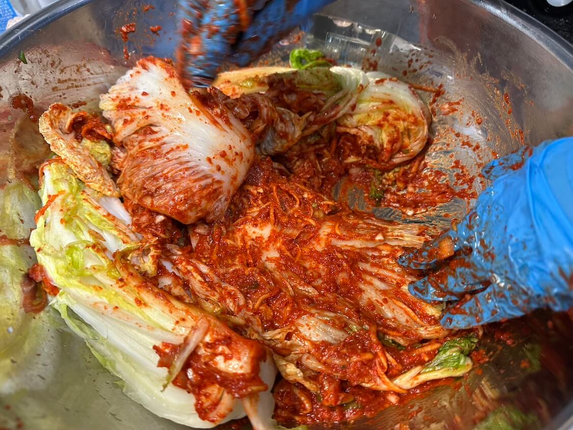 自家製白菜キムチの作り方。キムチの素を白菜につける