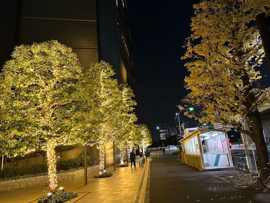 チェユリの東京コンサート、ブログ
