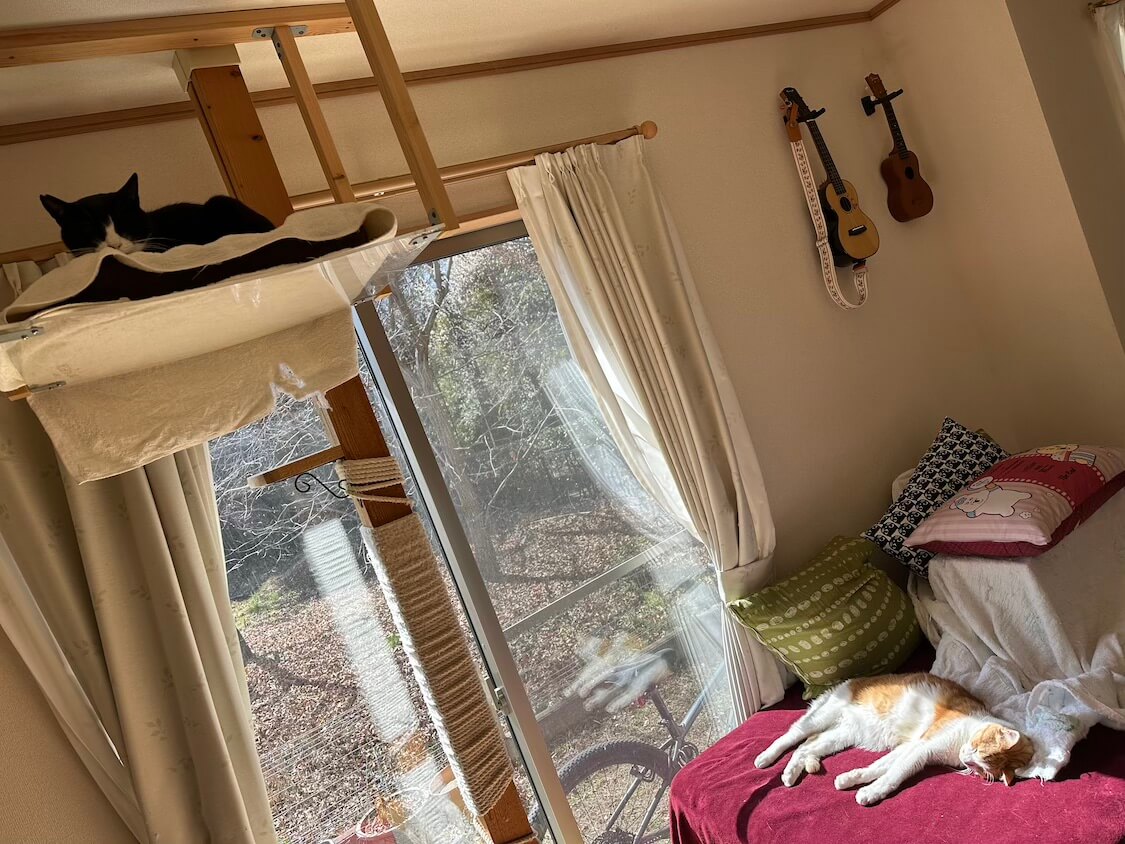 くろちゃんと玉三郎