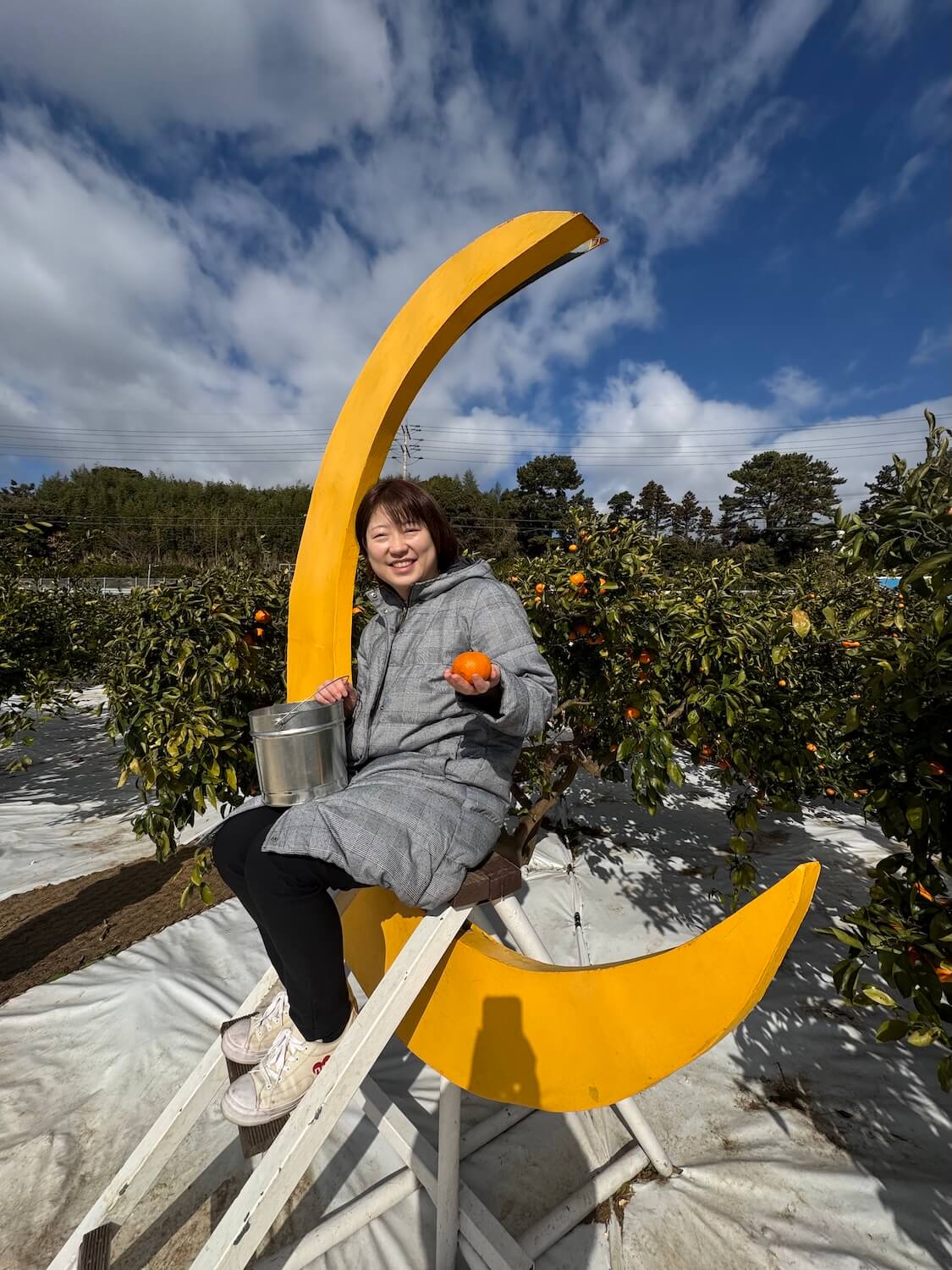 済州島の癒やし旅。冬のみかん狩り🍊ブログ