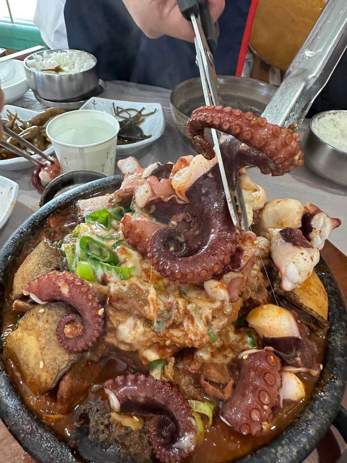 済州島グルメ。タコ・あわび・黒豚カルビのサムハプ(三合)人気店でランチ!