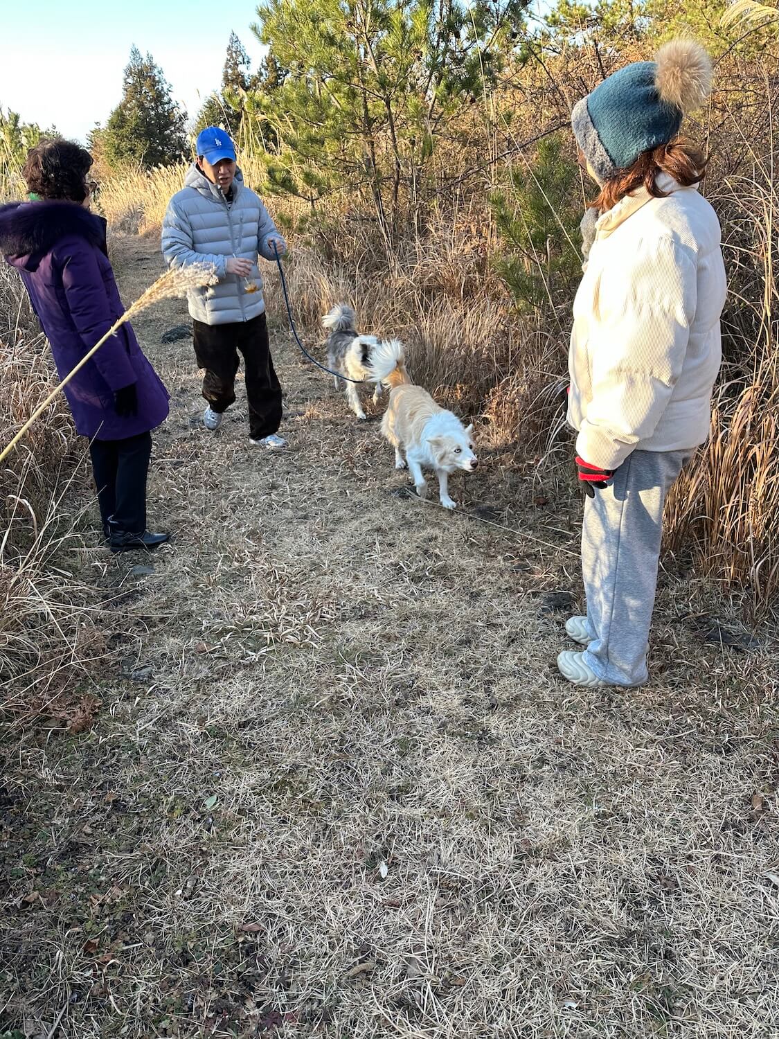 済州島のリゾートで、ワンコとの散歩