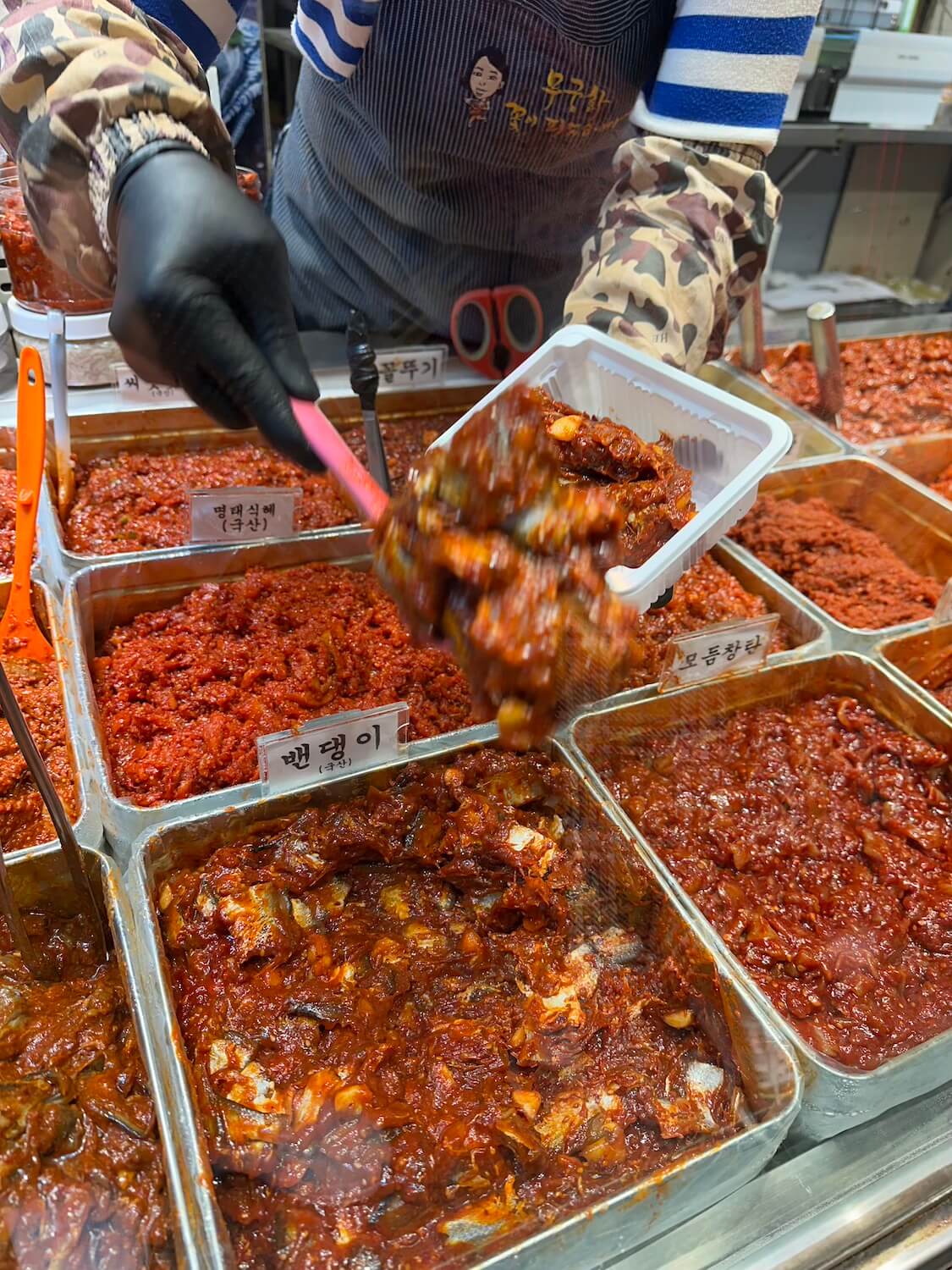 珍しい韓国の塩辛（チョッカル）を買って食べた話。ソウルの京東市場で購入！