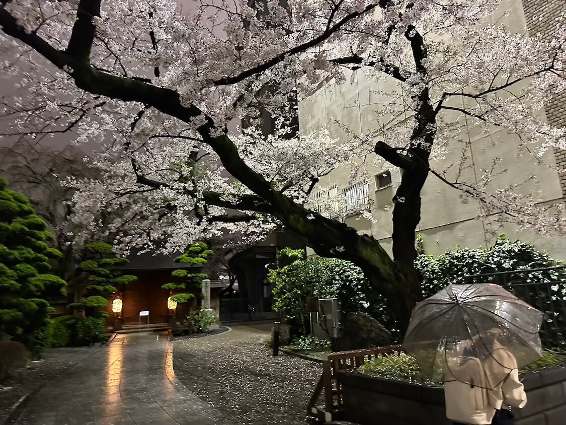 豆腐とさつま揚げのコチュジャンチゲ。ブログ、大戸屋のチゲ